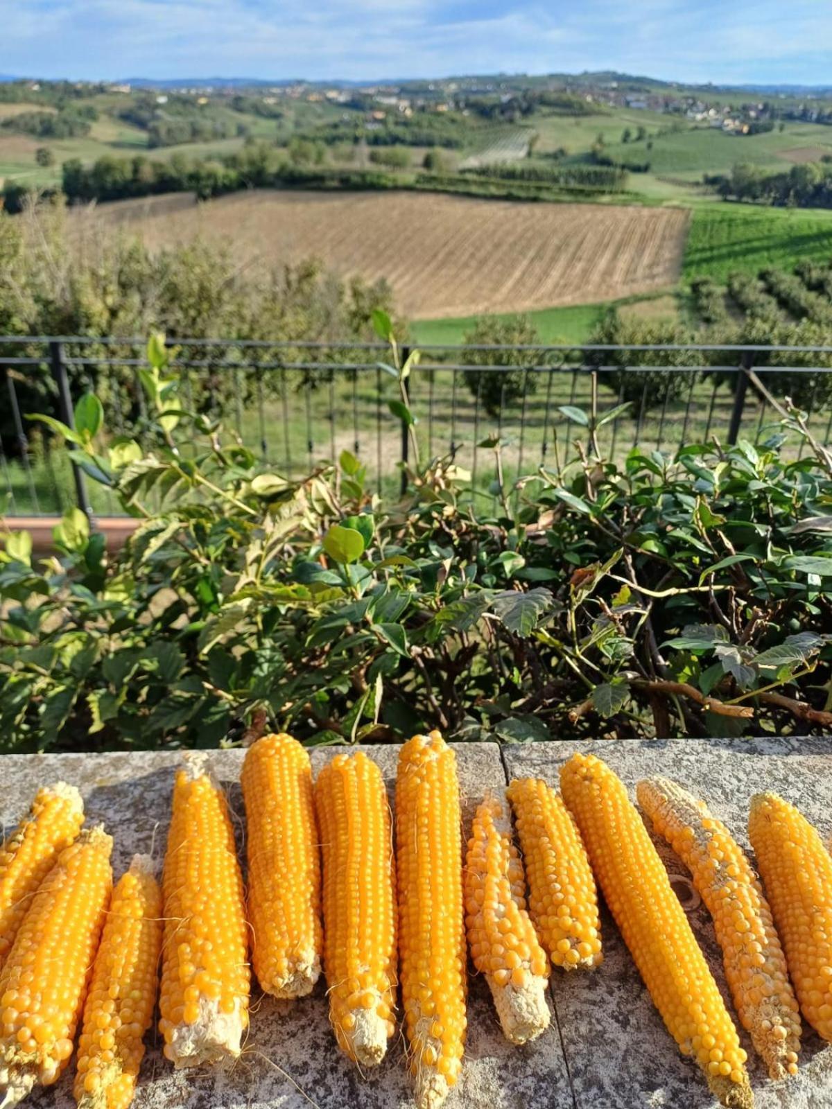 San Rocco Di Villa Di Isola D'Asti Eksteriør bilde